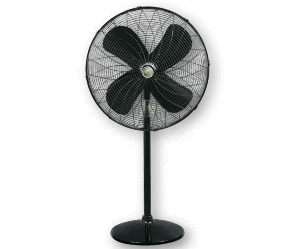Pedestal American - BLDC